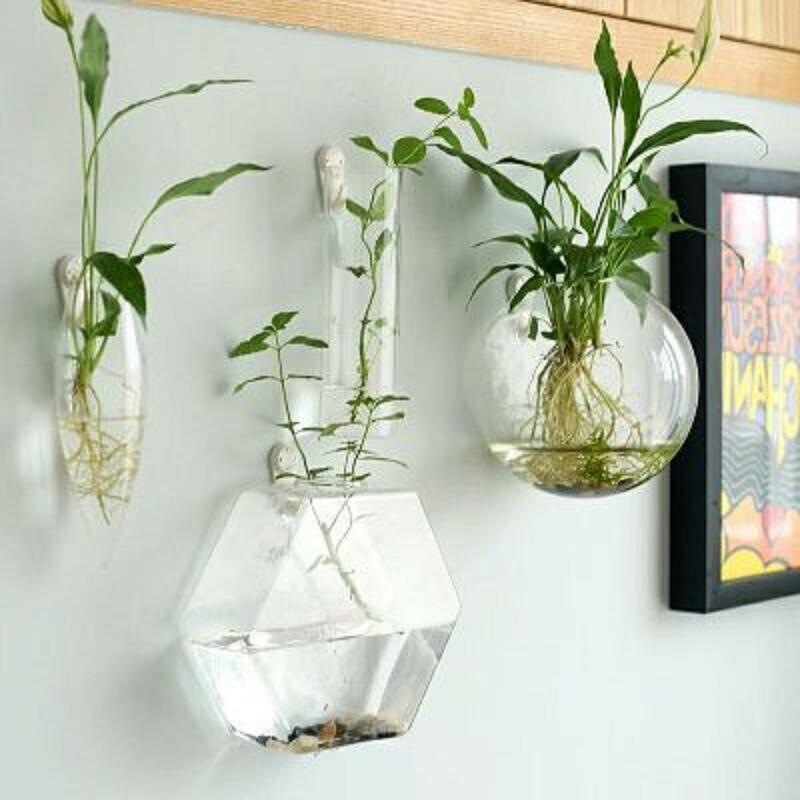Terrarium Wall Vase